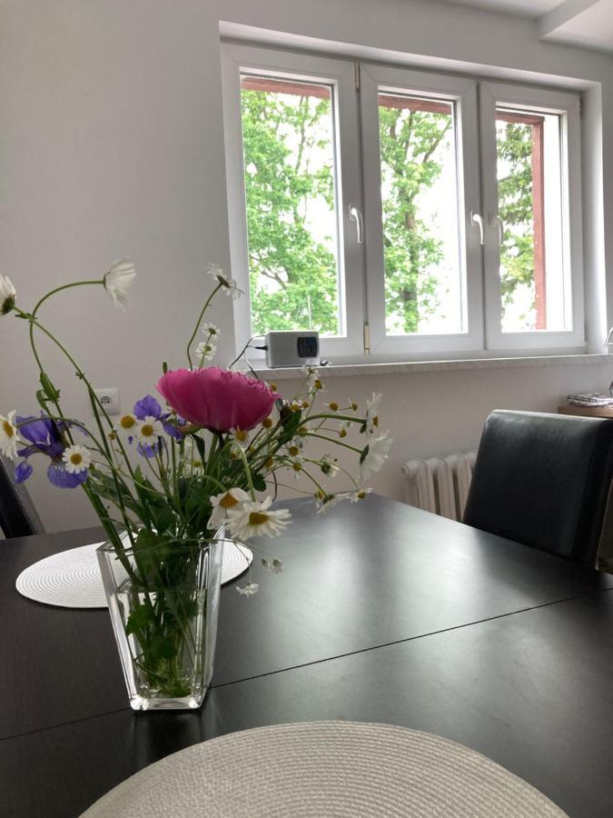 Apartament Karolewo Karolewo  Exteriér fotografie